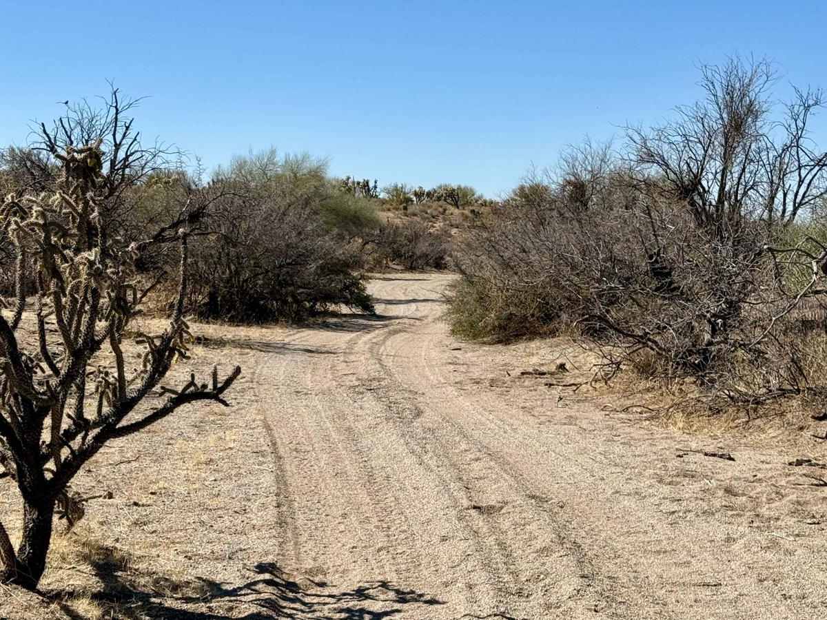 Goff Wash trail photo