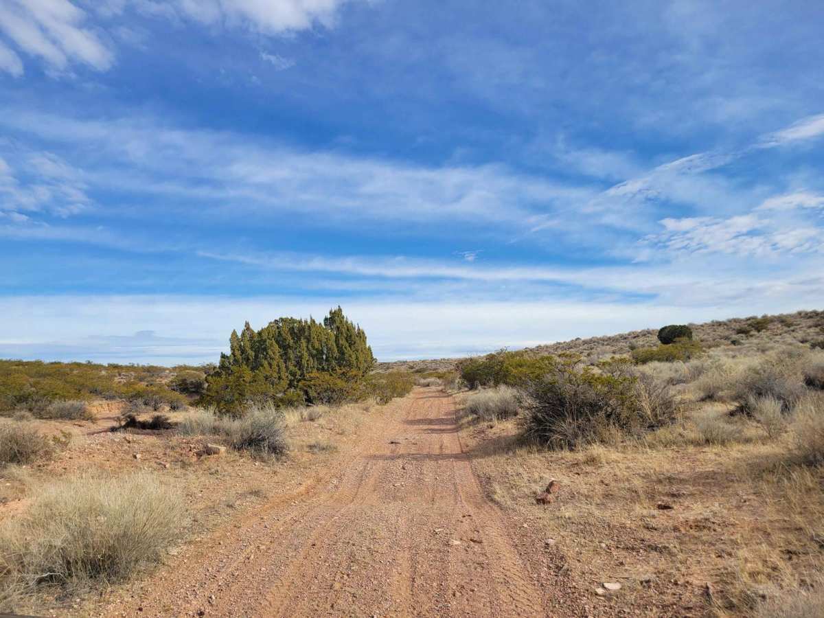 Johnson Hill Desert Exploration Route photo 5
