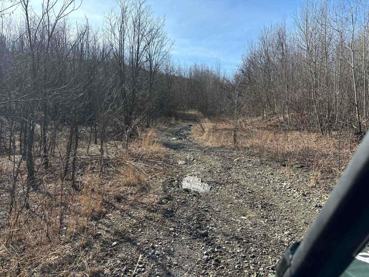 Locust Gap 40 trail photo