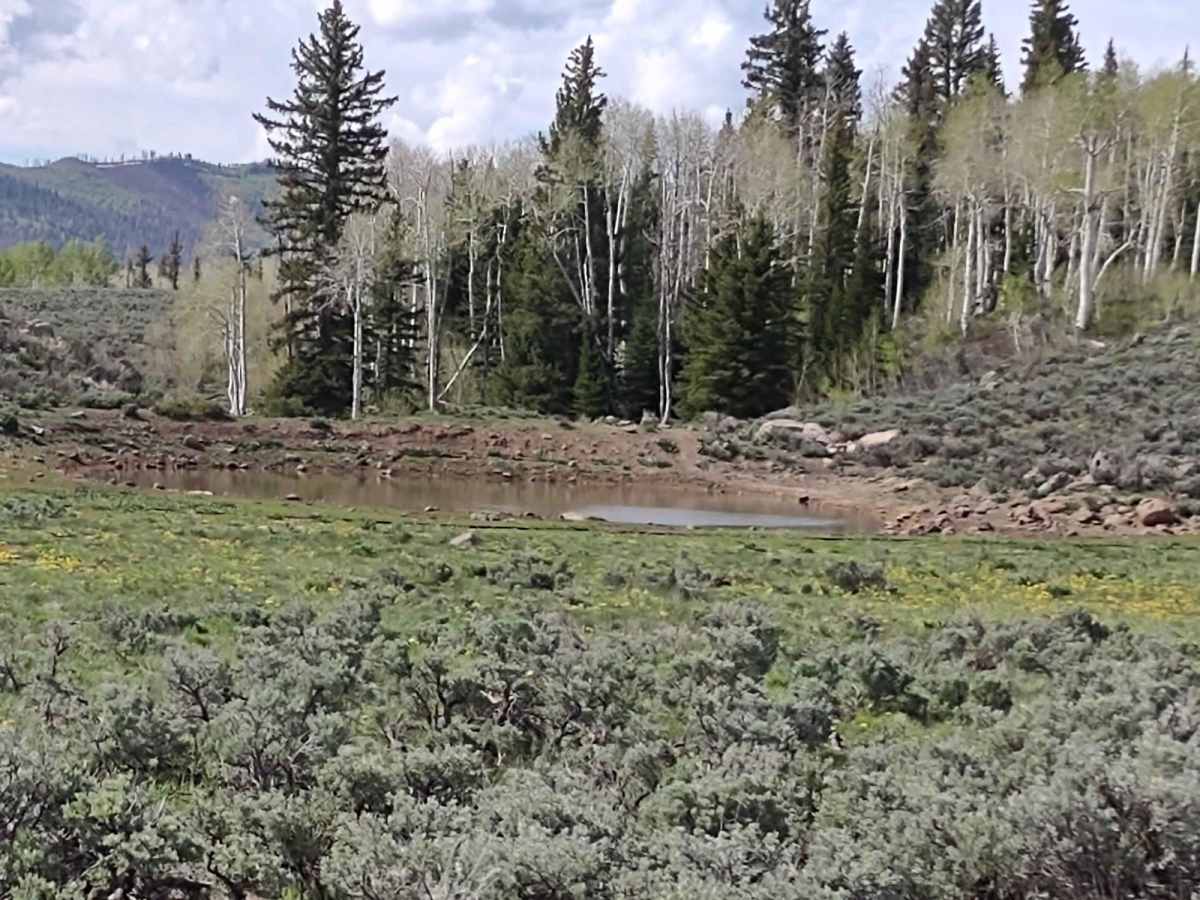Monroe Mtn Road to Upper Box Creek Reservoir (FS# 40068) photo 6