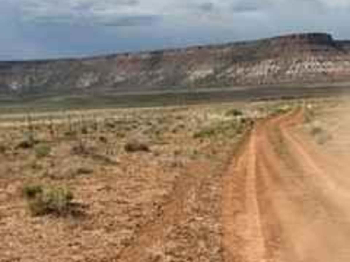 BLM 2086A photo 5