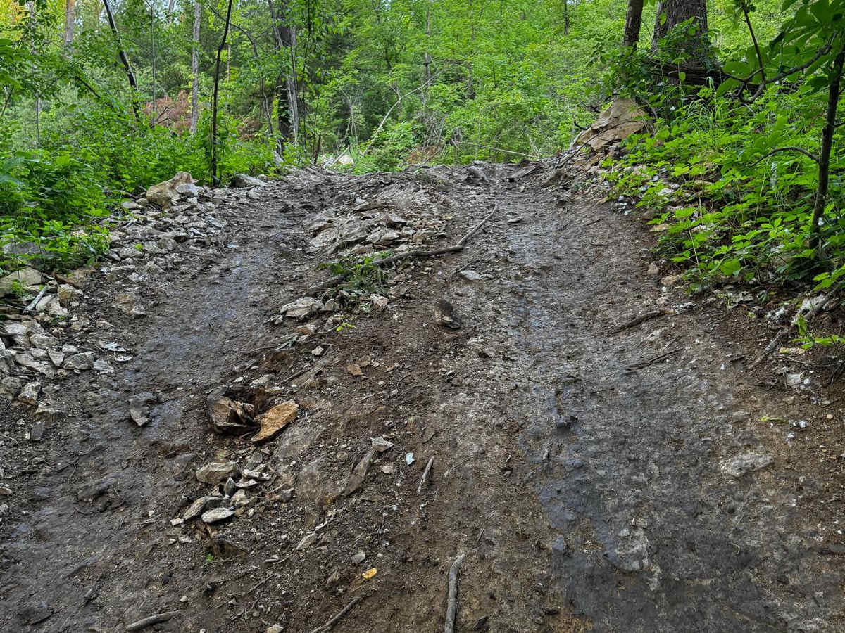 Jeep Trail 82 photo 5