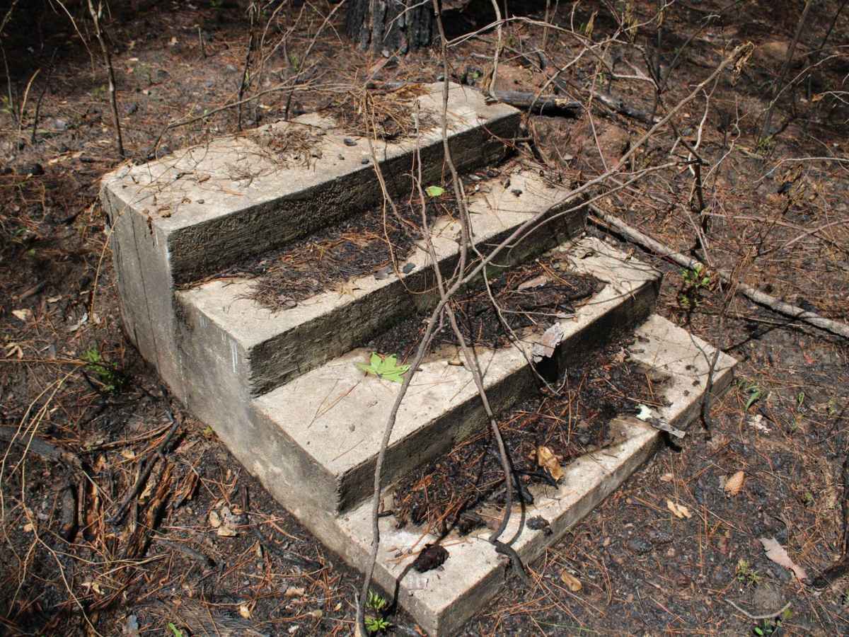 Circle Through the Past in Kisatchie trail photo