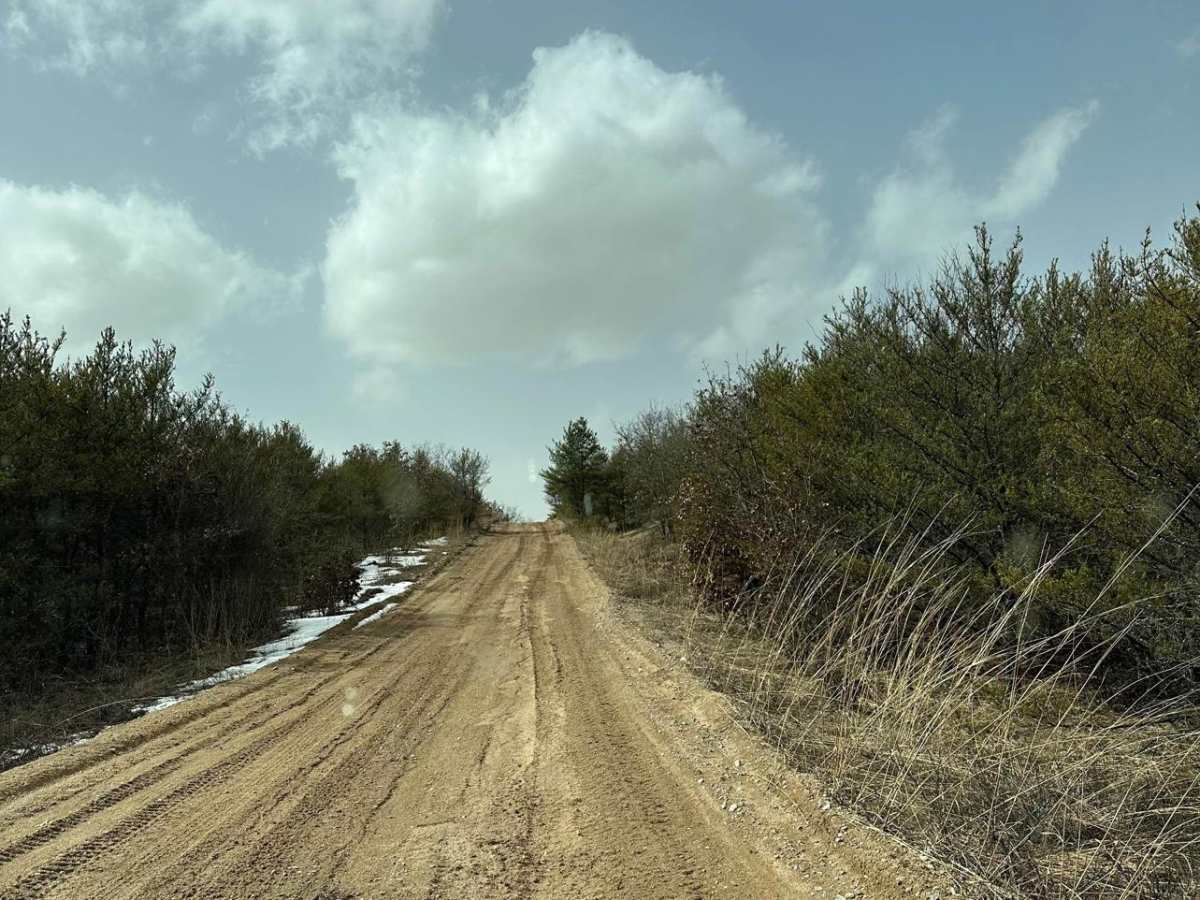 LP 492 photo 4