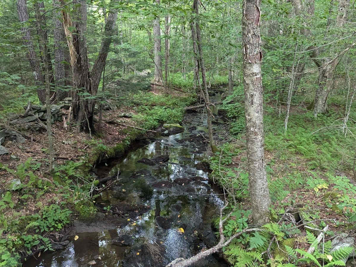 Hallockville Road photo 3