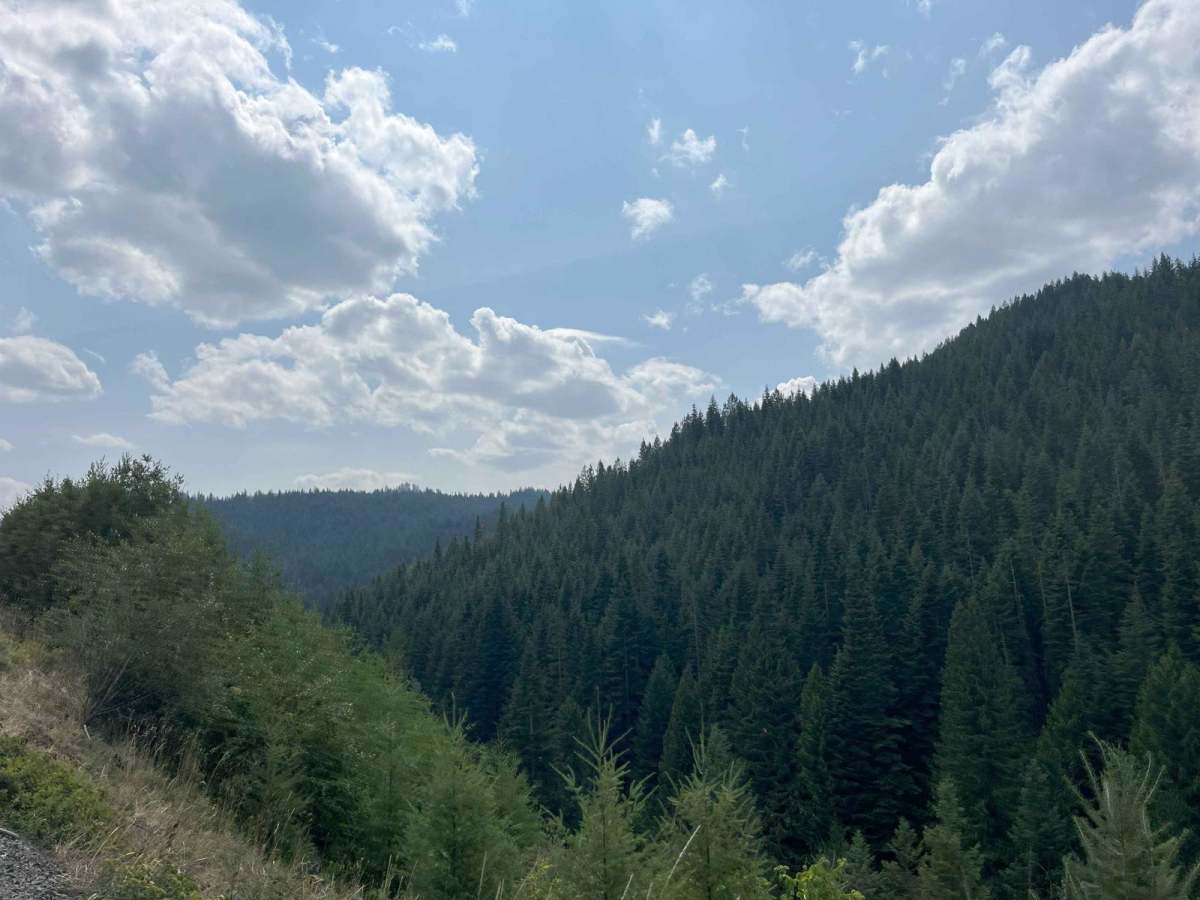 Road 4782 photo 3