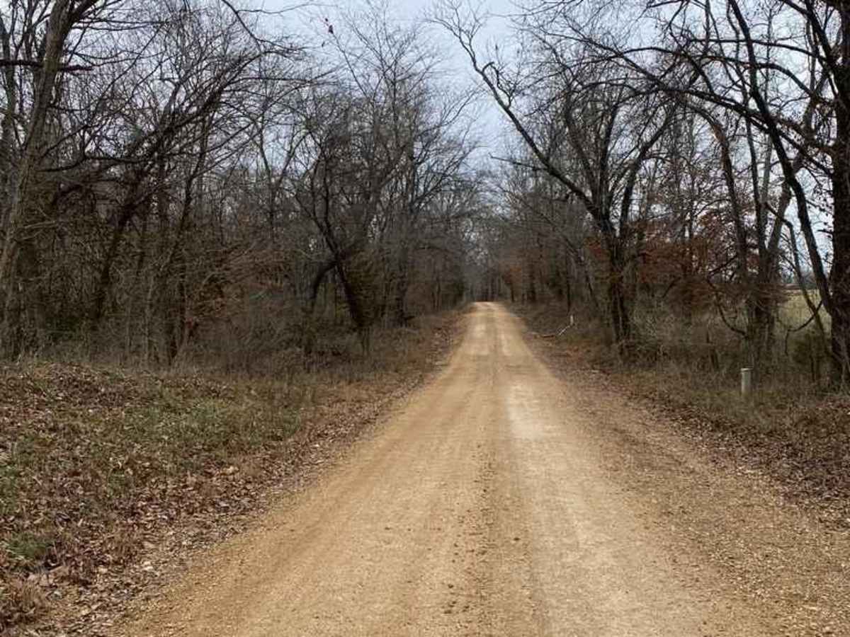 Whitewater Creek Road photo 2
