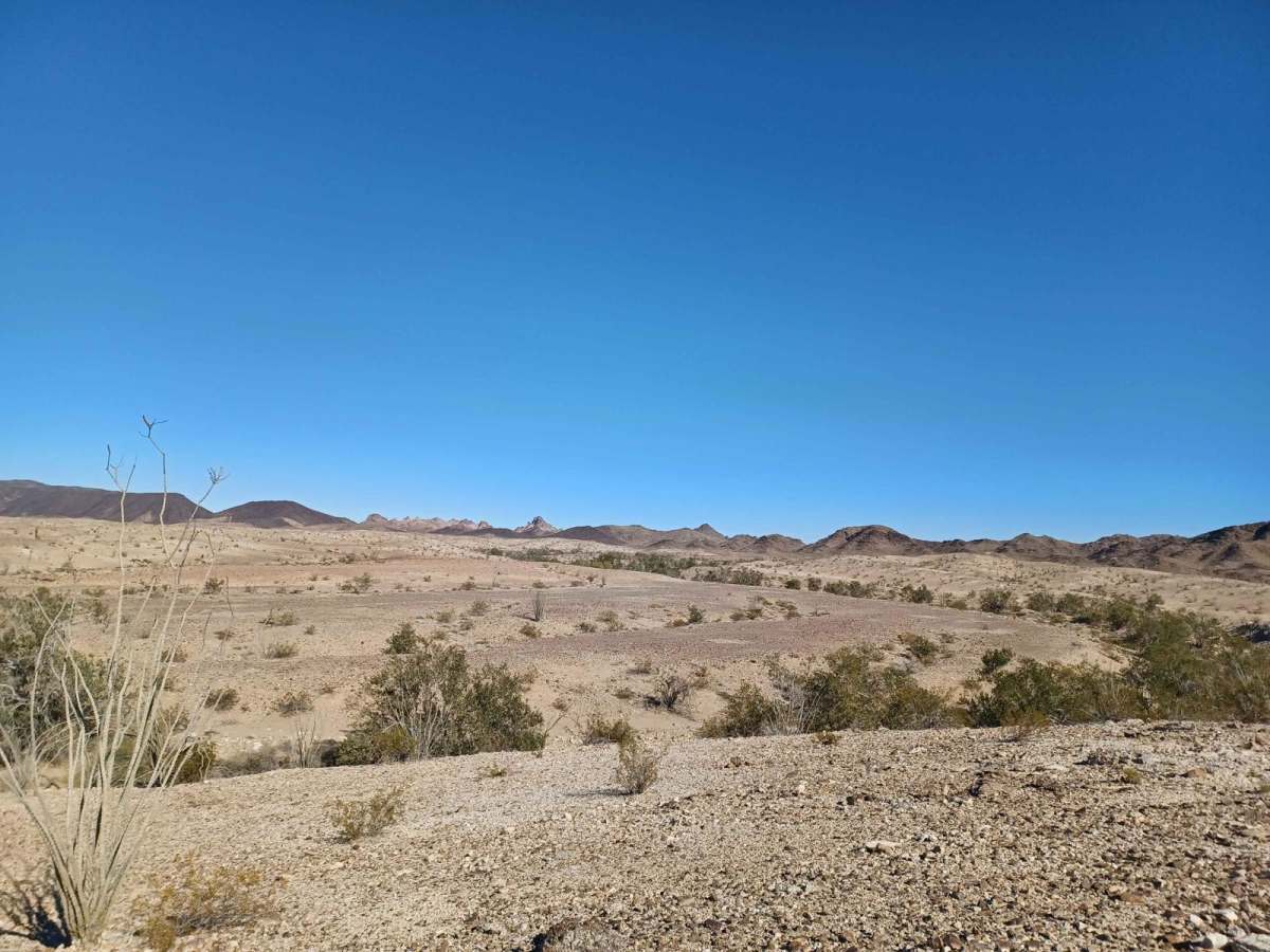 Remote photo 4