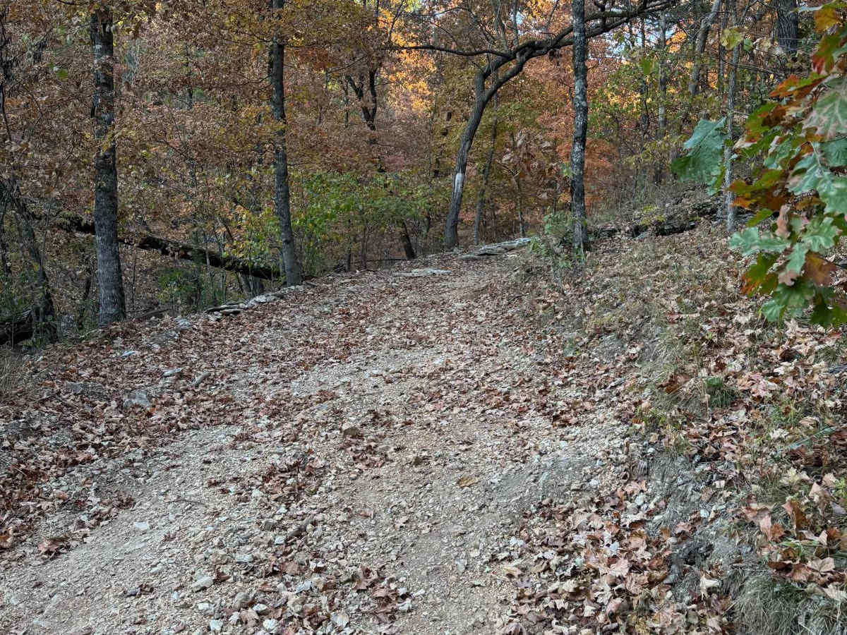 Yellow 37 trail photo