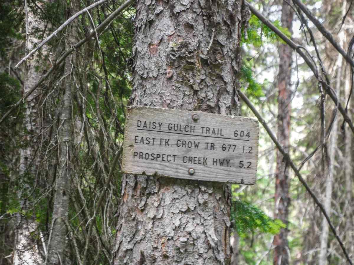 Daisy Creek trail photo