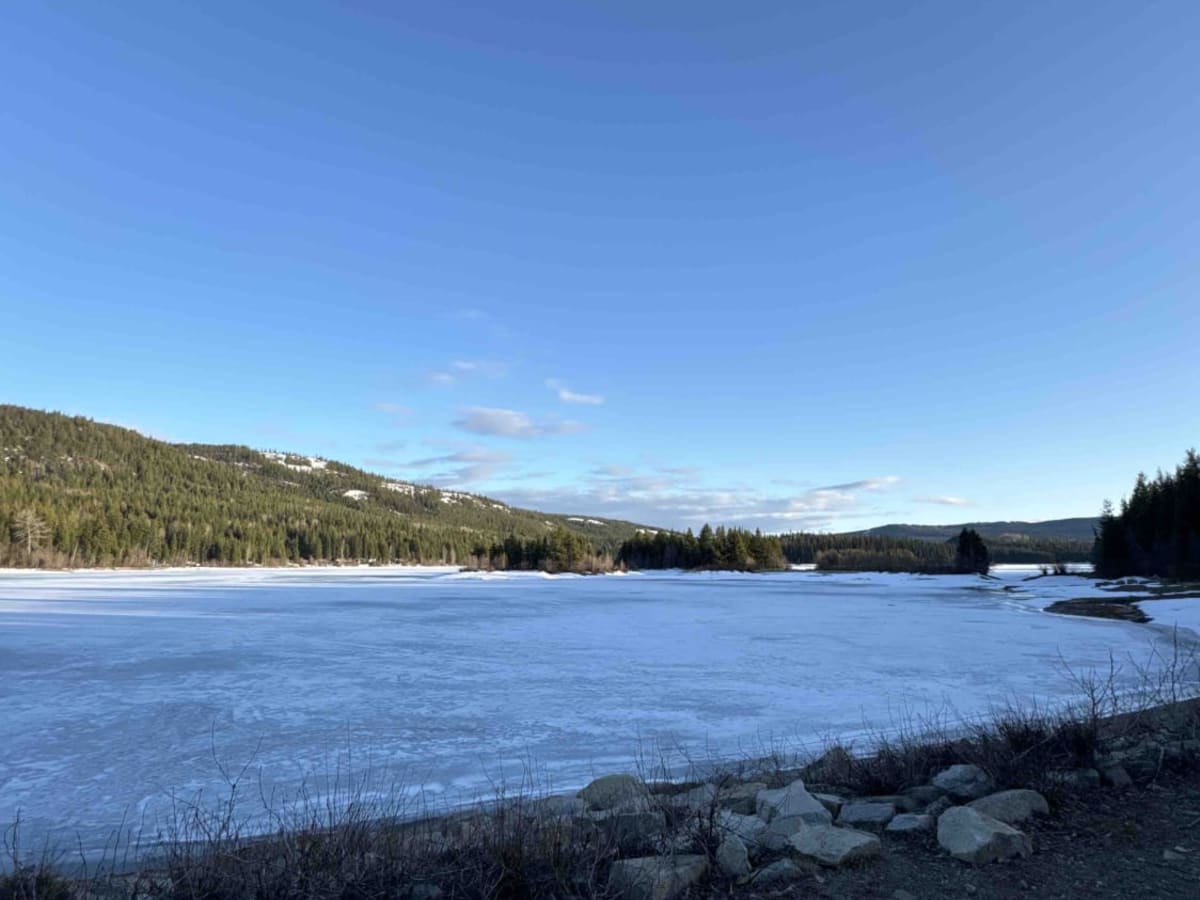 Bear Lake Main FSR trail photo
