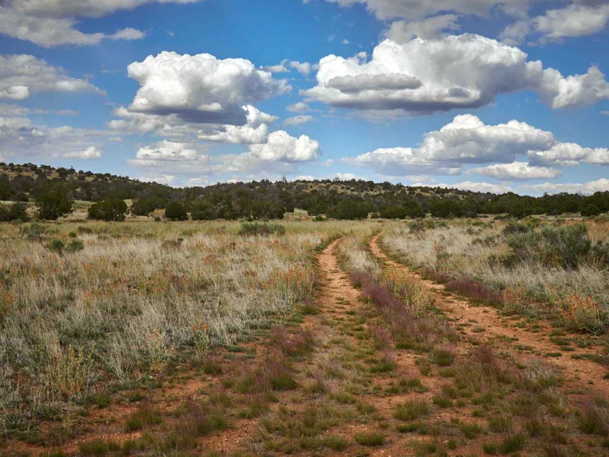 Copper Queen trail photo