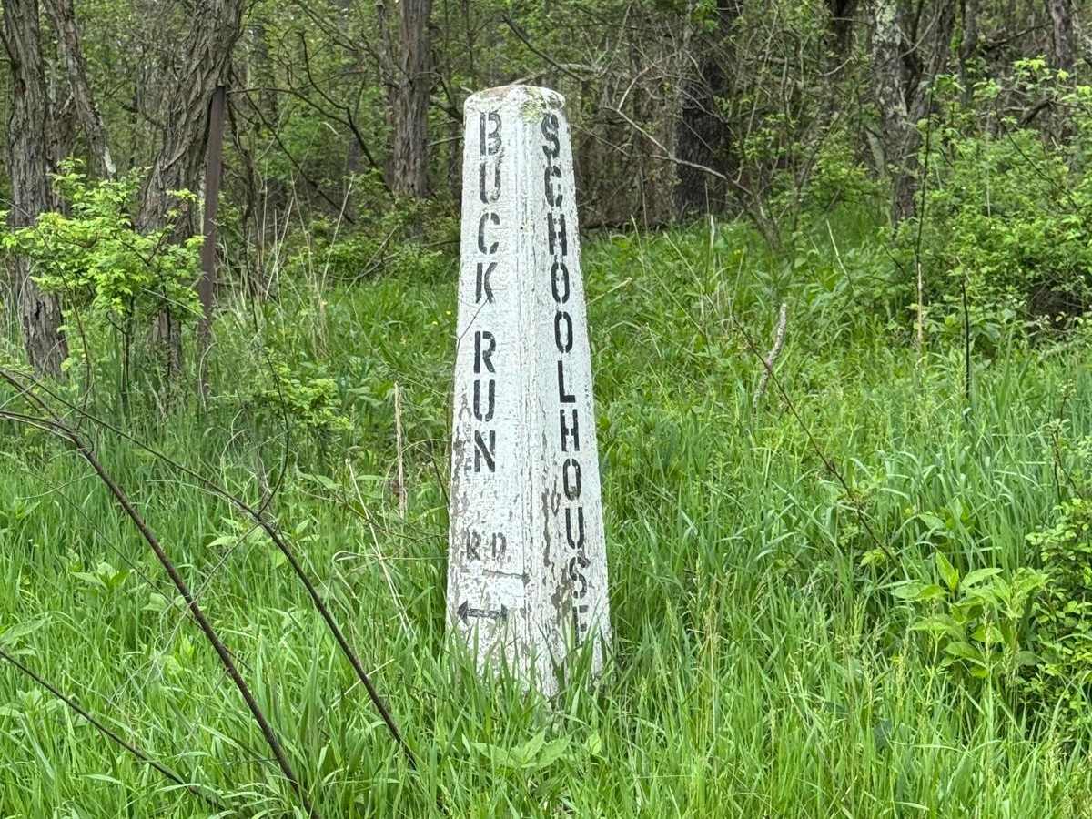 Buck Run Road trail photo