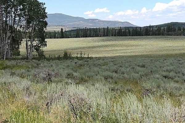 Monroe Mountain Road Spur (FS 42459, 41192)