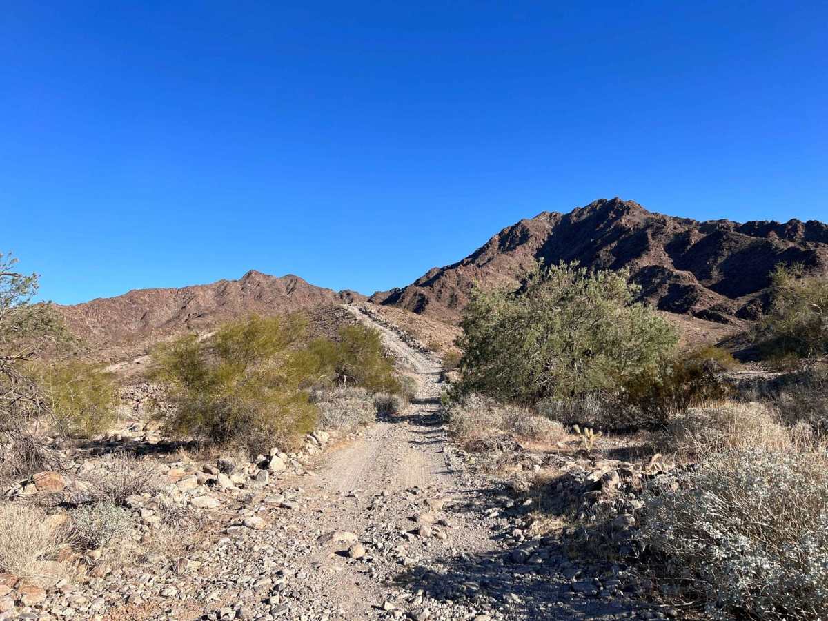 Squiggly Hiking Trail photo 6
