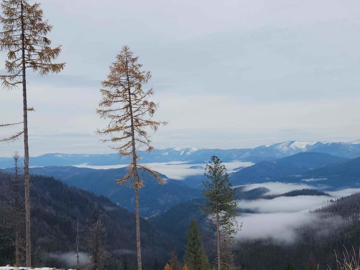 Character Ridge trail photo
