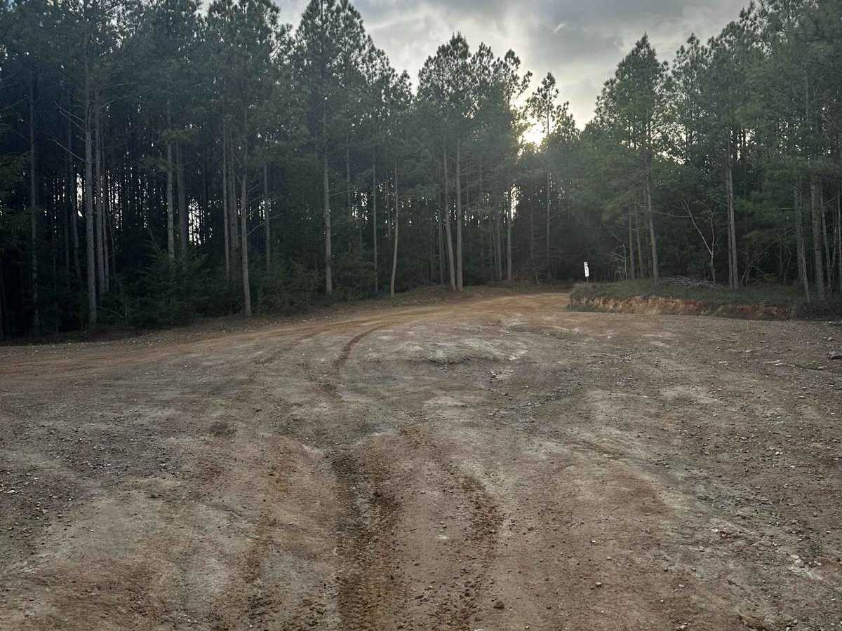 Service Road 17 (SR 17) photo 3