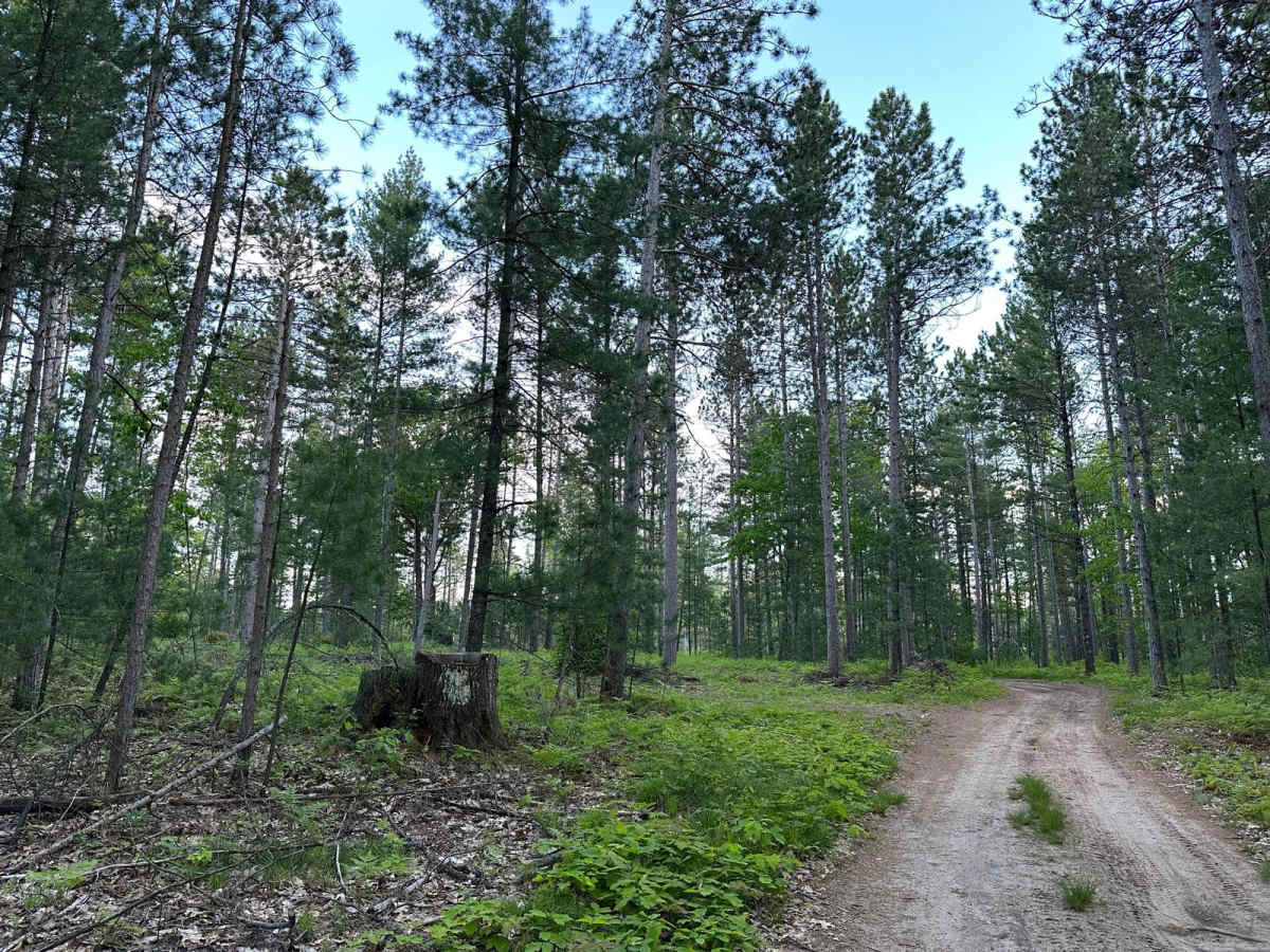 Lake Dubonnet Trail trail photo