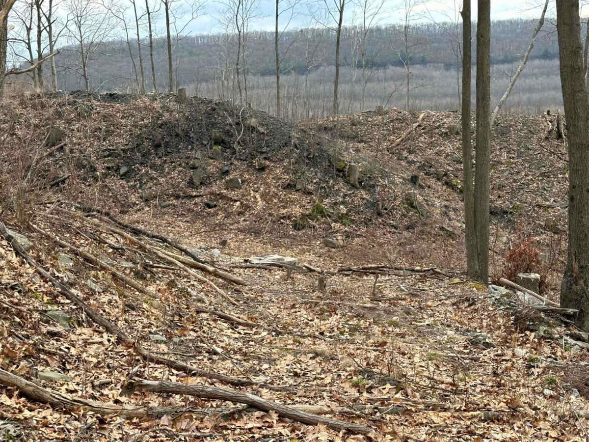 Ashland 66 photo 6