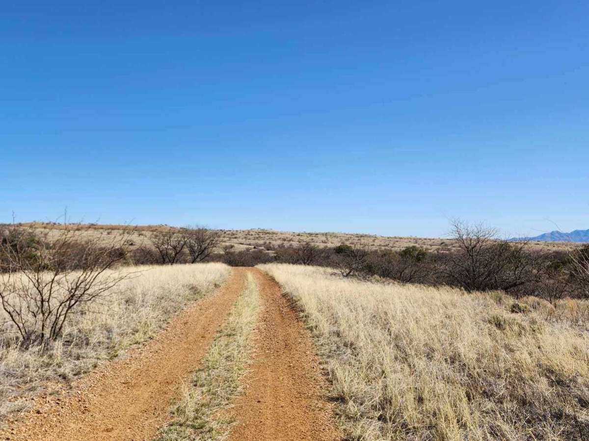 Oak Tree Canyon trail photo