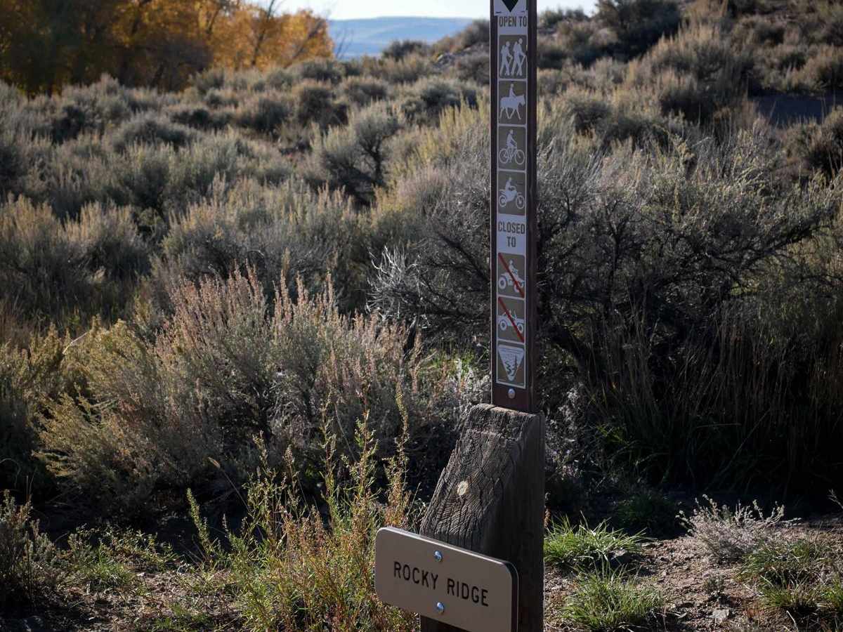 Rocky Ridge photo 6