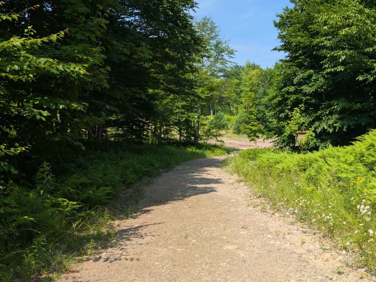 TeePee Road - Lower Sellecks Camp Road trail photo