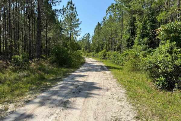 Fish Camp Road - CR2082 Connector