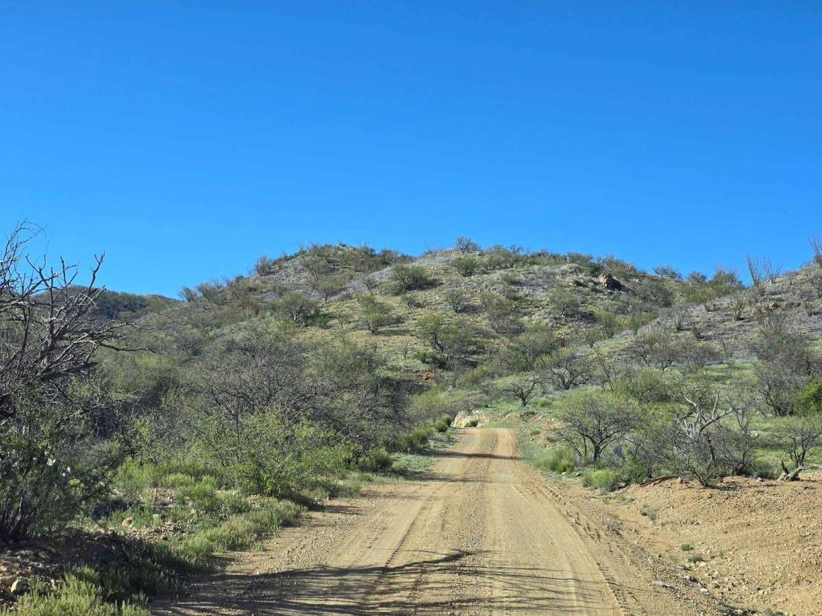 California Gulch Forest Road 217 trail photo