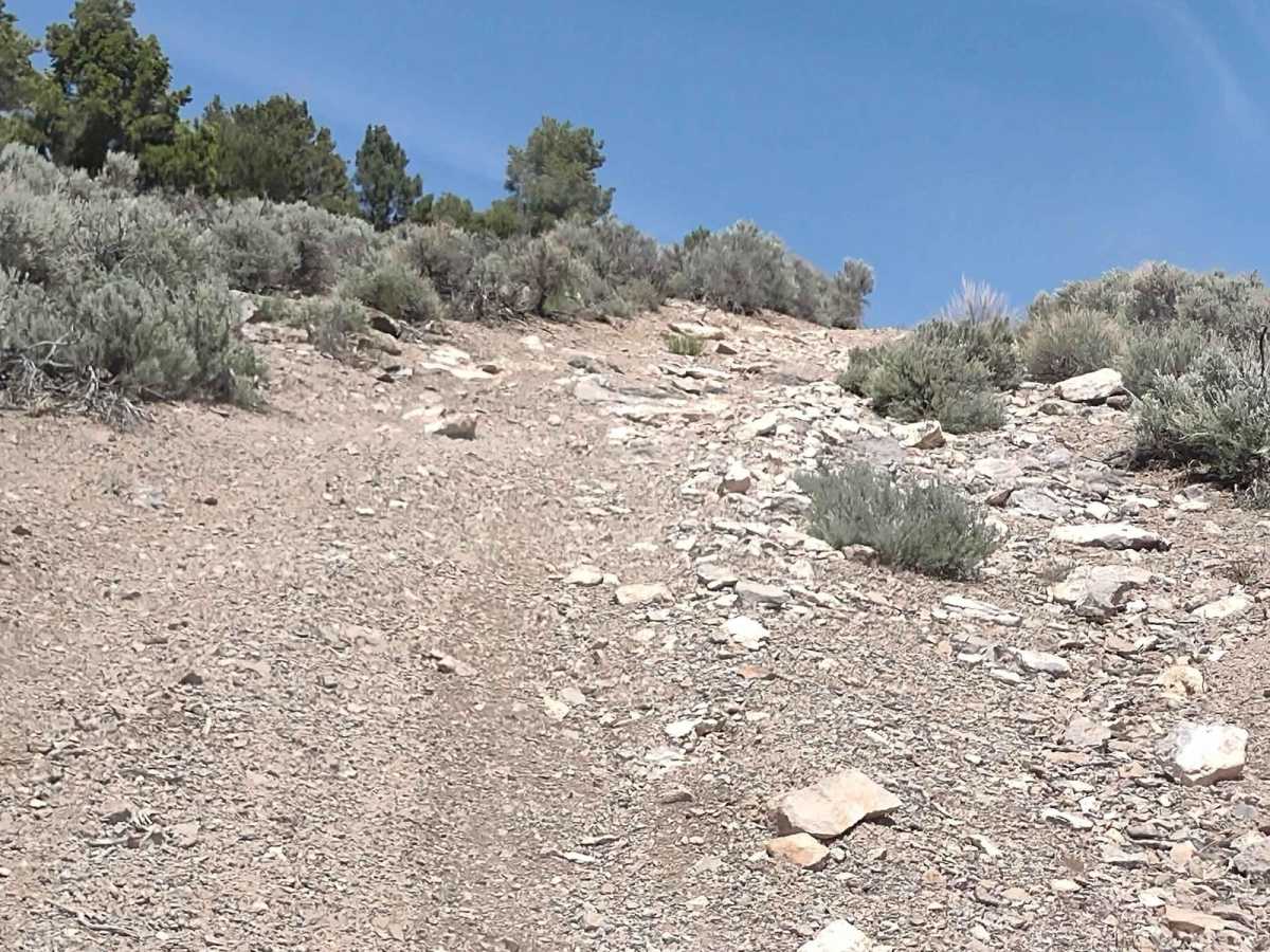 West Angle Road to Sam's Cabin trail photo