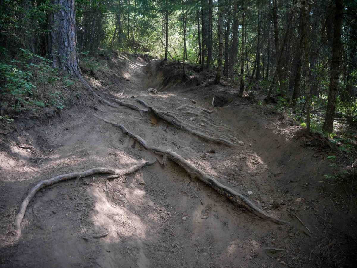 East Boundary trail photo
