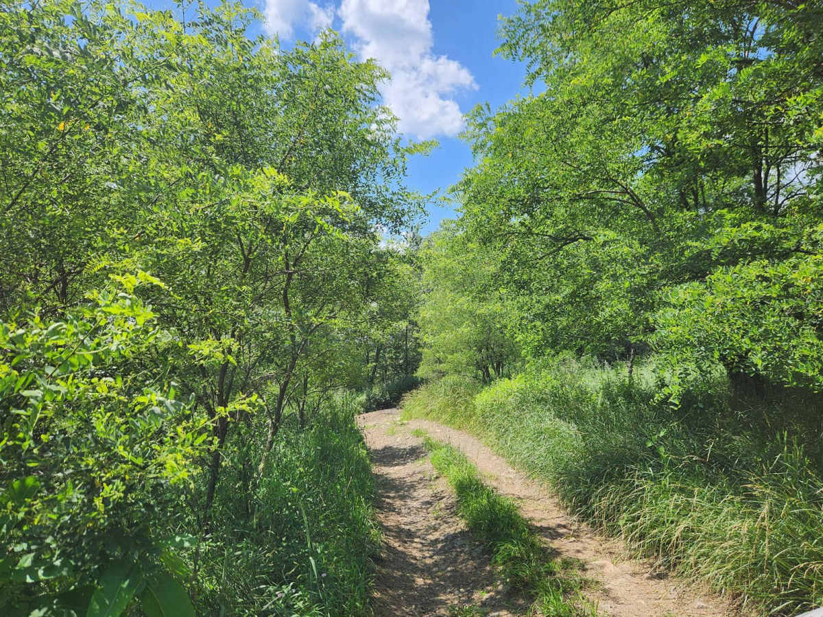 Trail 8A - Rock Run Recreation Area photo 5