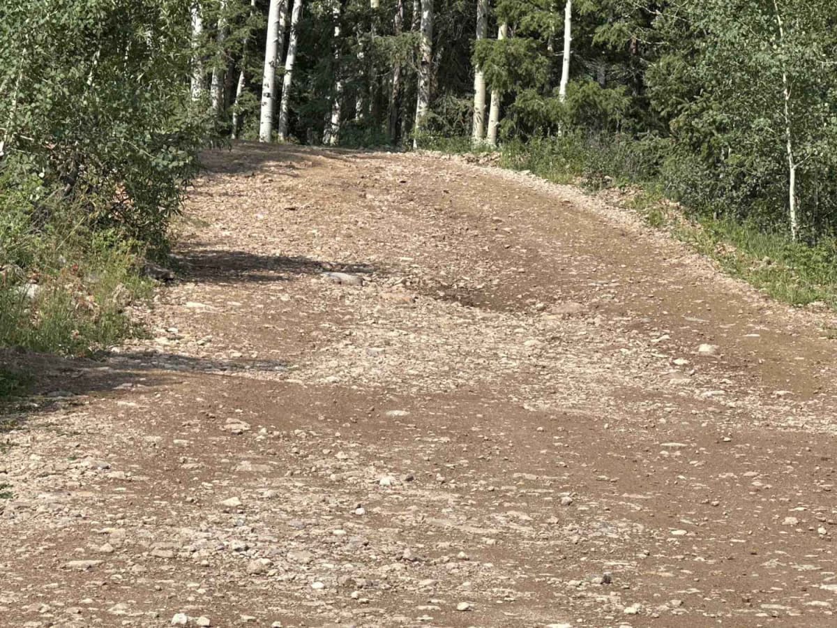 La Plata Canyon/CR 124 photo 6