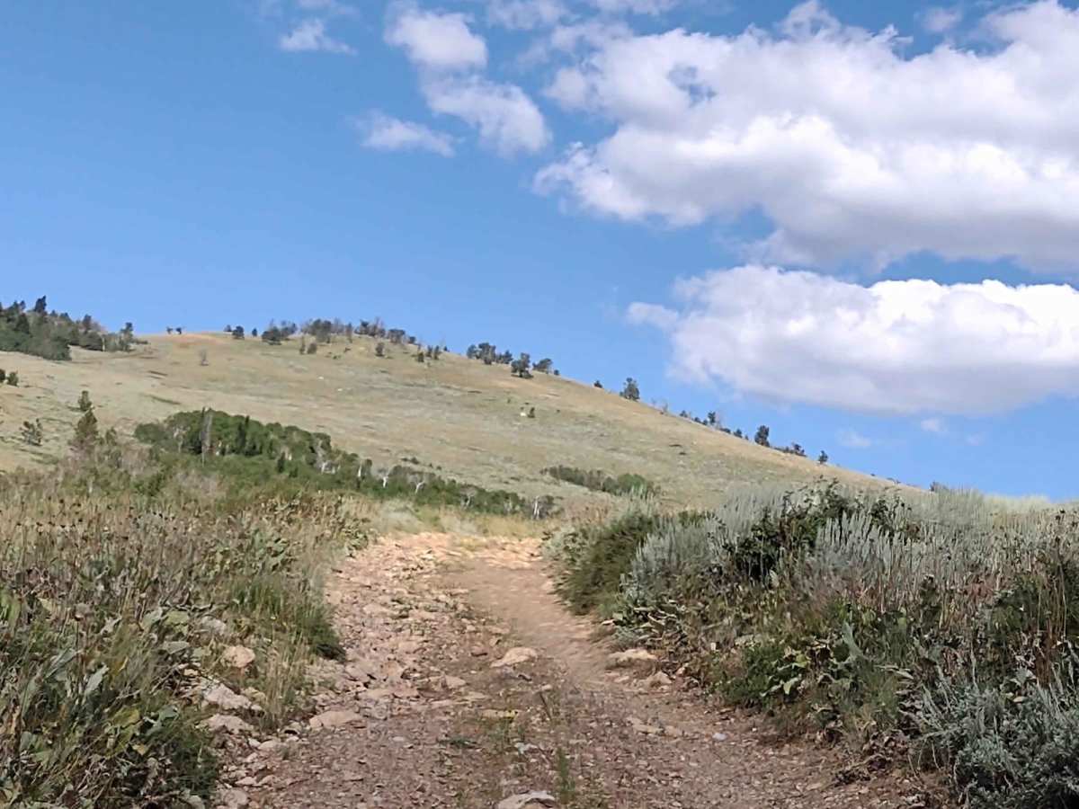 Stairway to Heaven photo 4
