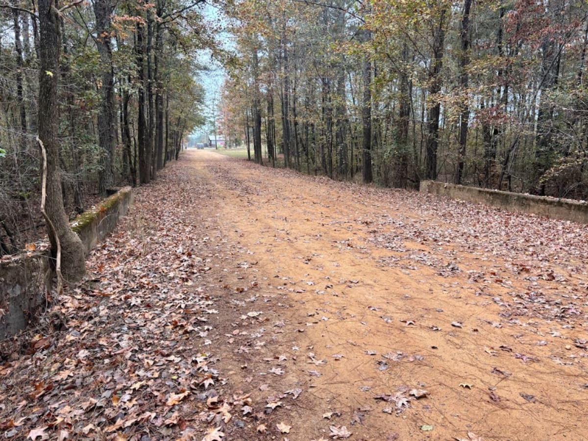 12 trail photo