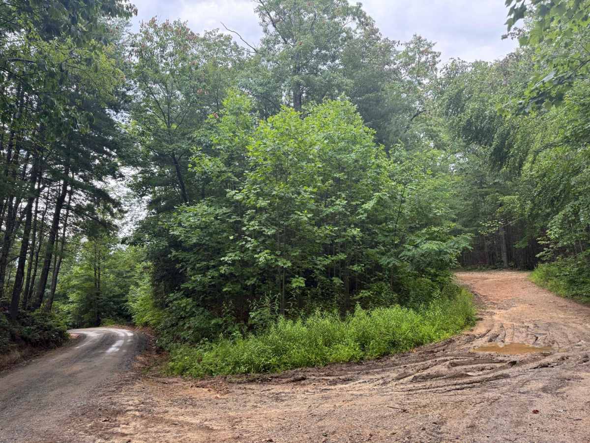 Watauga Turnpike - FS 45 photo 5
