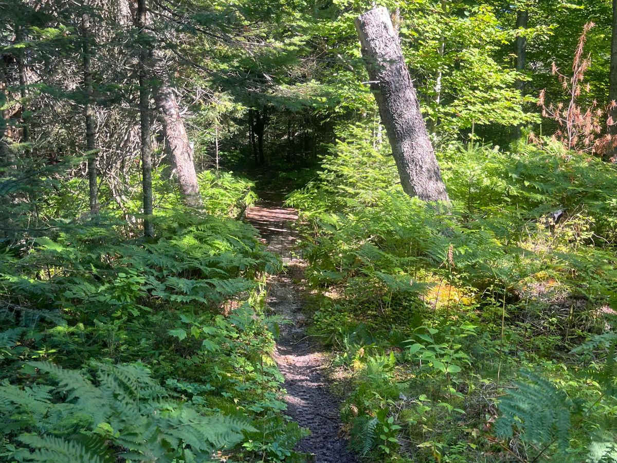 MCCCT Newberry to Rexton photo 6