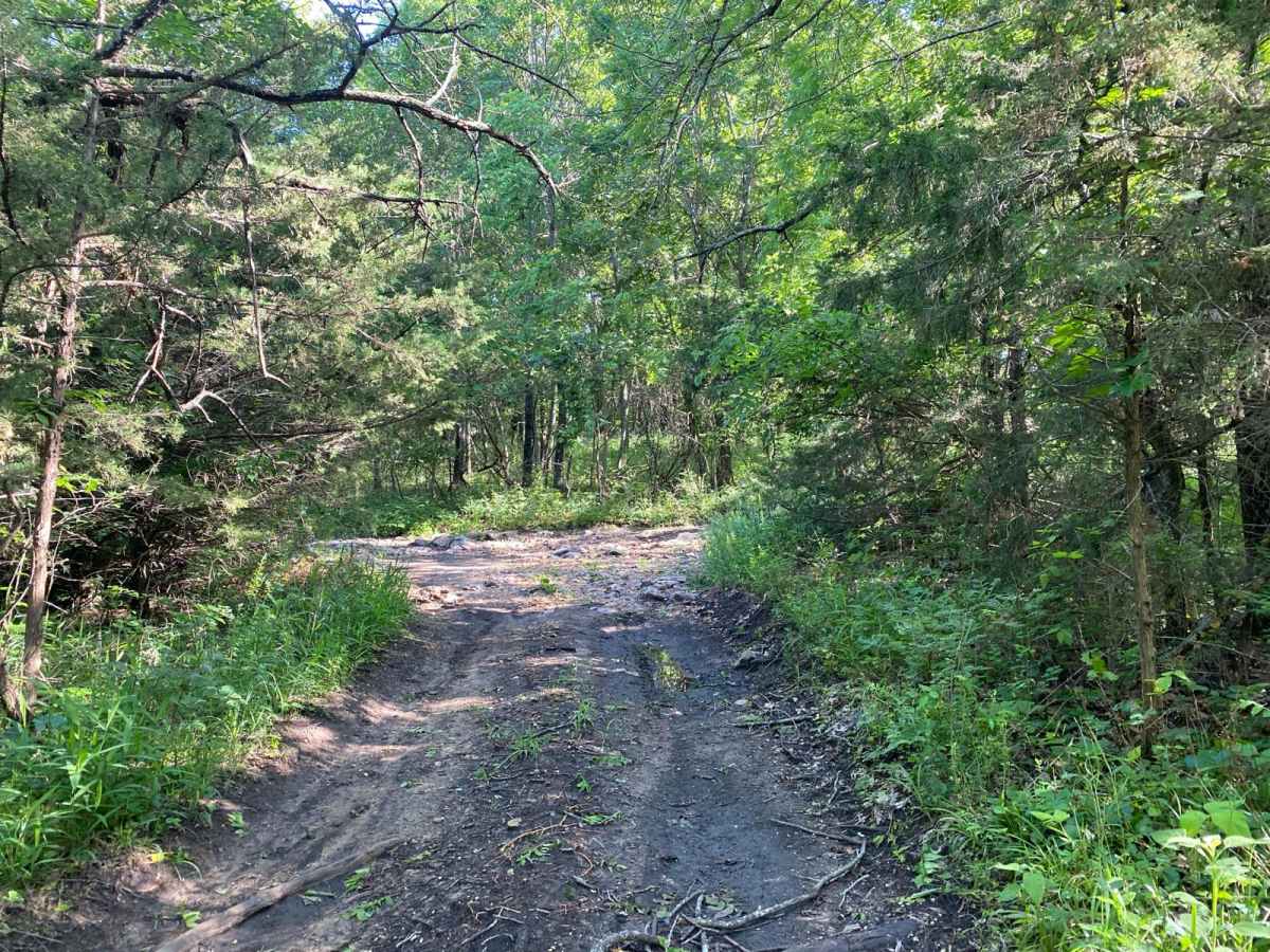 Coyote Camp photo 2