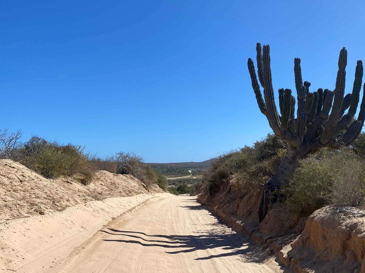 Ruta Playa Ribera photo 6