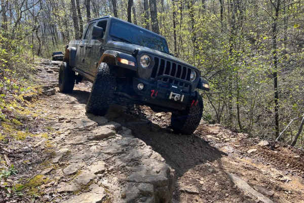 Eureka Springs Hollow 95472B
