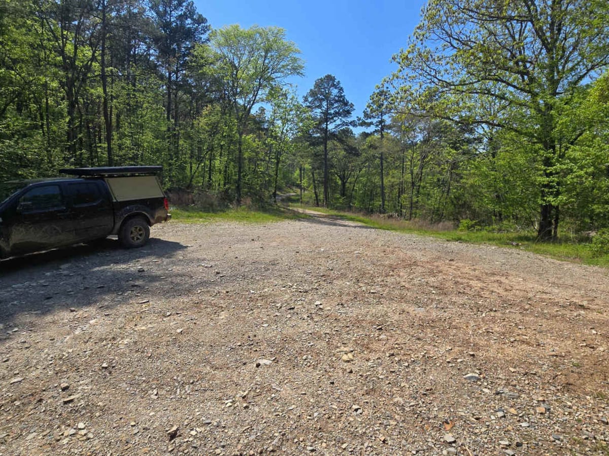 Bee Creek Trail trail photo