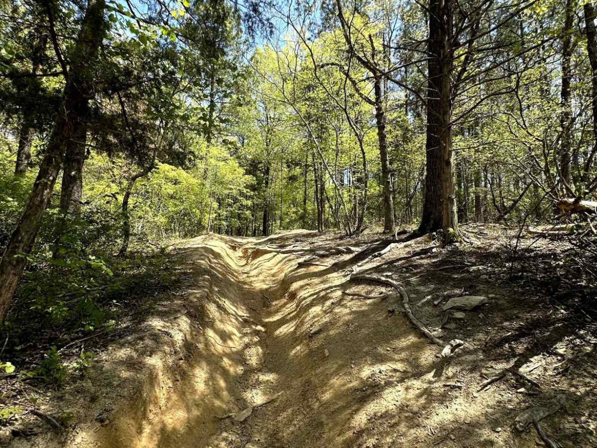 Trail 8 photo 3
