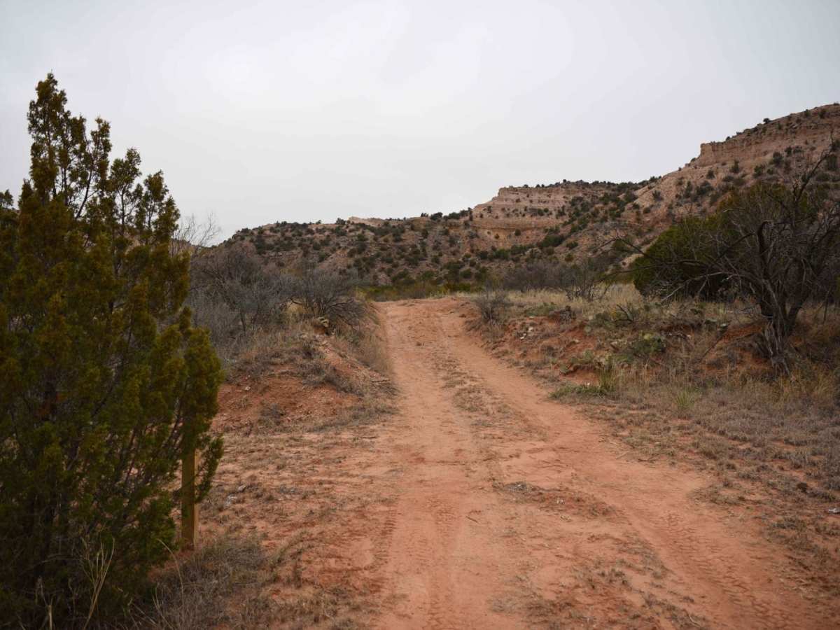 First Camp Trail photo 5
