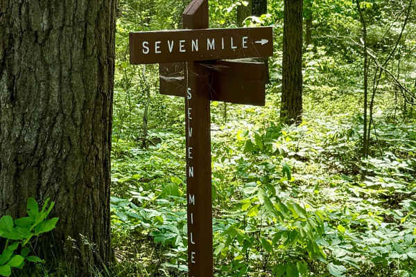 Seven Mile Road