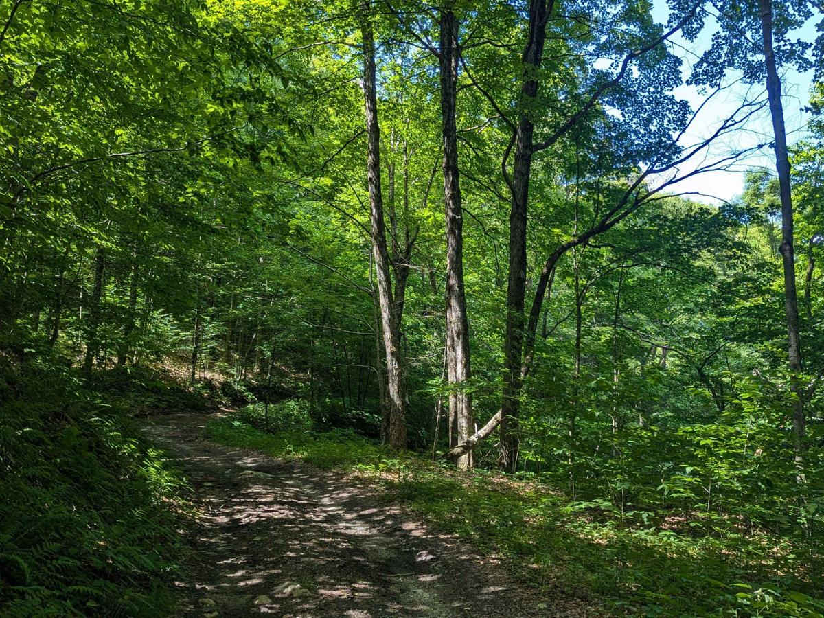 Beartown Road photo 5