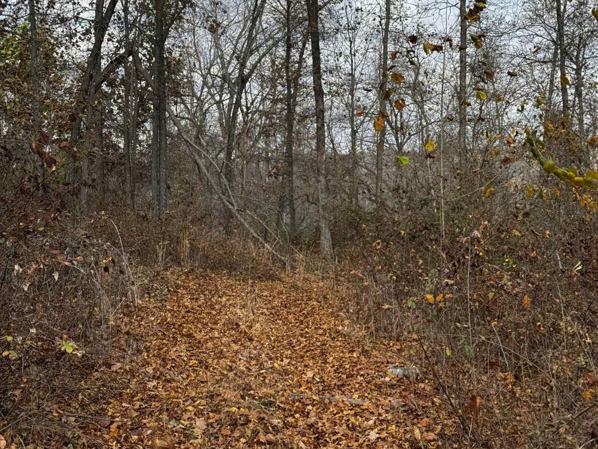 Maze Jaunt trail photo