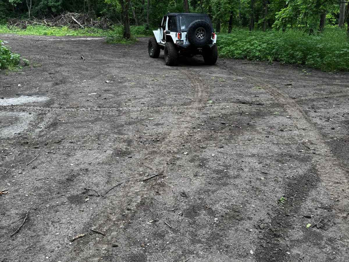 Green 184 photo 4