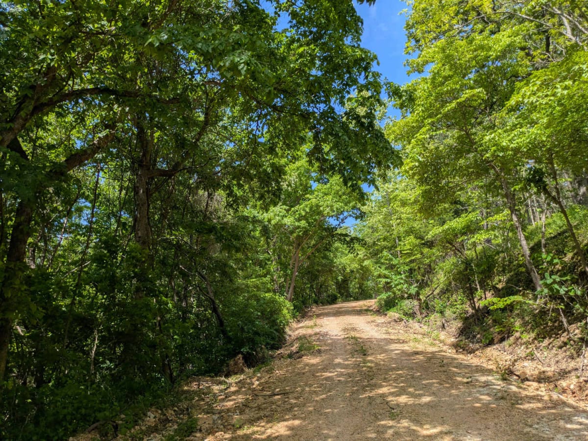 D4555 photo 3