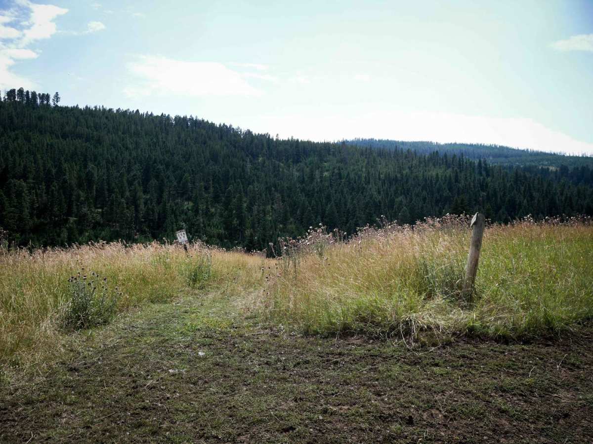 Willow Creek North Spur ATV trail photo