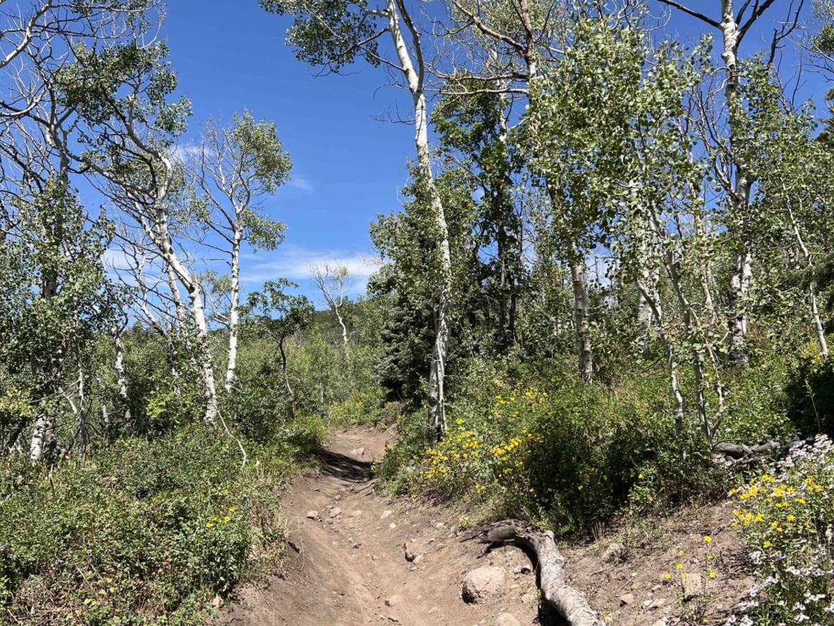 Ridge Connector (2216) photo 5
