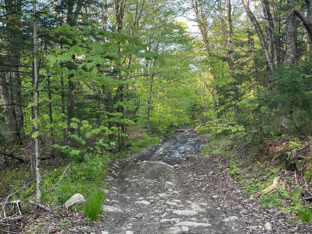Old Stage Trail photo 3